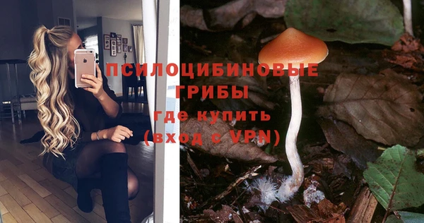 прущая мука Володарск